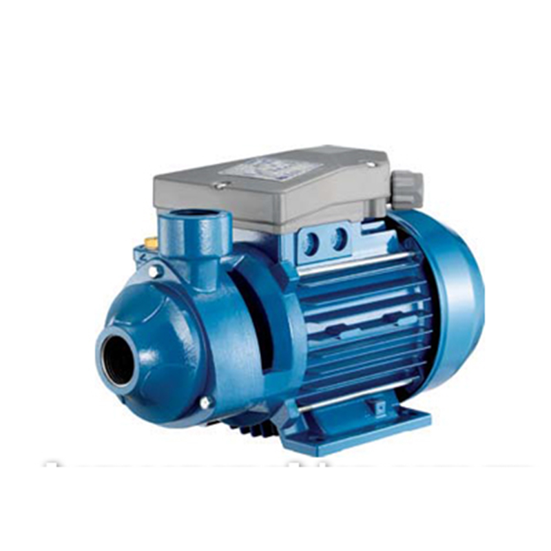 Máy bơm nước đầu chuột Foras PE-100 chính hãng