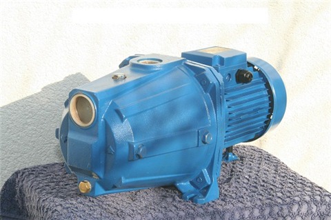 Bán Máy bơm bán chân không Ebara AGA 1.00M (750w)