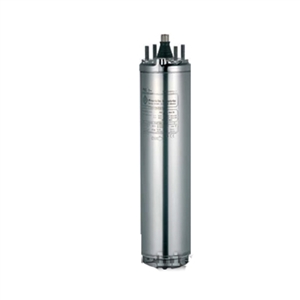 Máy bơm nước động cơ thả chìm Foras 4MFR chính hãng