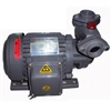 Máy bơm bánh răng vỏ gang đầu giang NTP HCP225-1.37 26T 1/2HP giá tốt