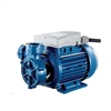 Máy bơm nước đầu chuột Foras PL-100 chính hãng