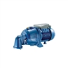 Máy bơm nước giếng Foras PA 80 chính hãng