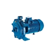 Máy bơm nước ly tâm Foras KBT 100-310 chính hãng