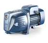 Bán Máy bơm bán chân không Pedrollo JSWm 3CL (1.1kw)